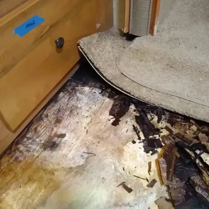 Best Wood Floor Water Damage Service in Bay Harbor, MI